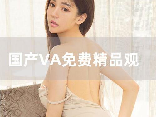 国产va在线观看视频